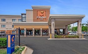 Comfort Inn Detroit Downtown